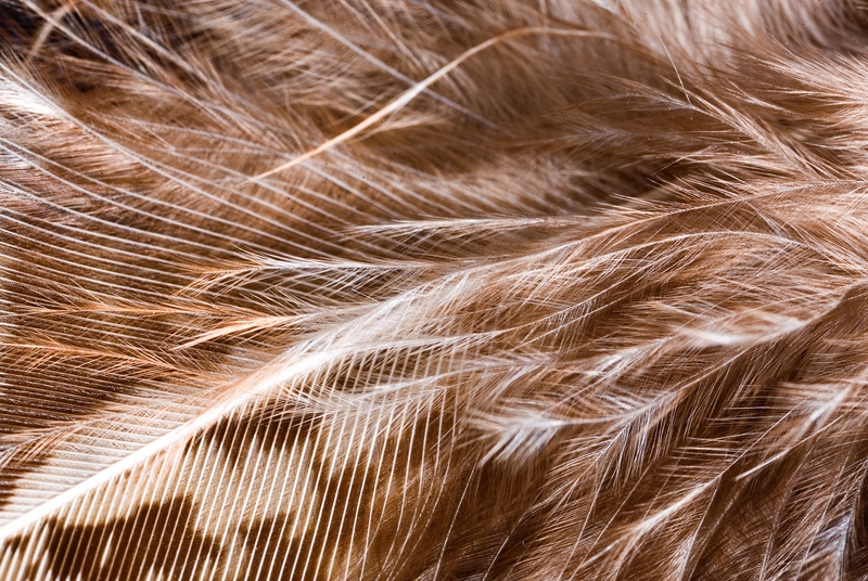 Bronze Award: Karen Beri, Canada