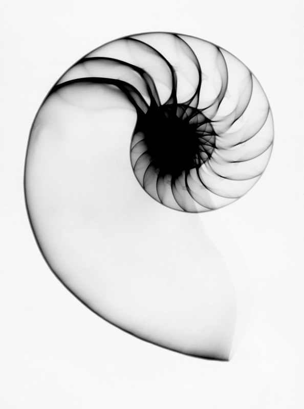Silver Award: Leslie Wright, United Kingdom