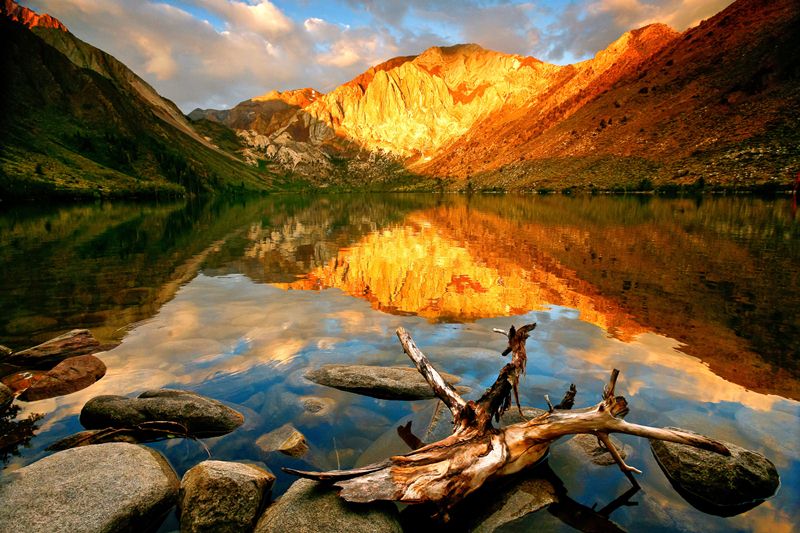 Bronze Award: Jeff Lewis, United States