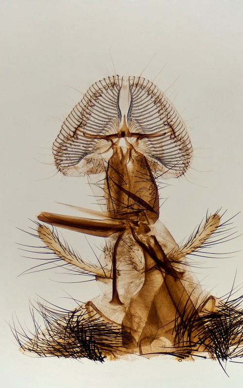 Bronze Award: Steve Lowry, United Kingdom