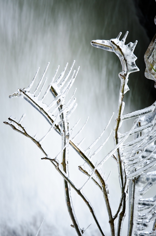 Bronze Award: Thomas Barthol, Belgium