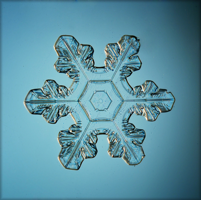 Bronze Award: Sergey Kichigin, Russia