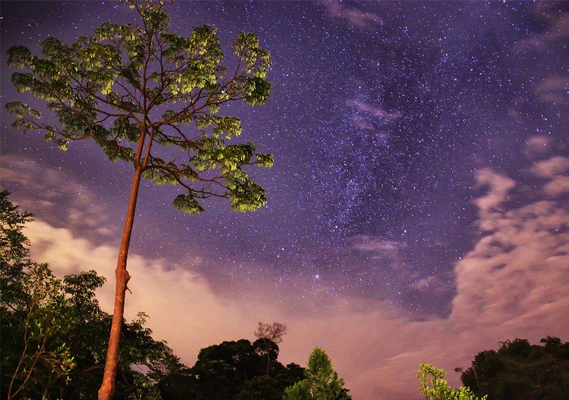 Silver Award: Crystal Ng, Malaysia
