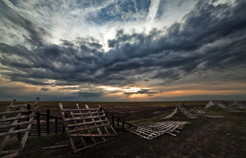 Silver Award: Dariya Martynova, Russia