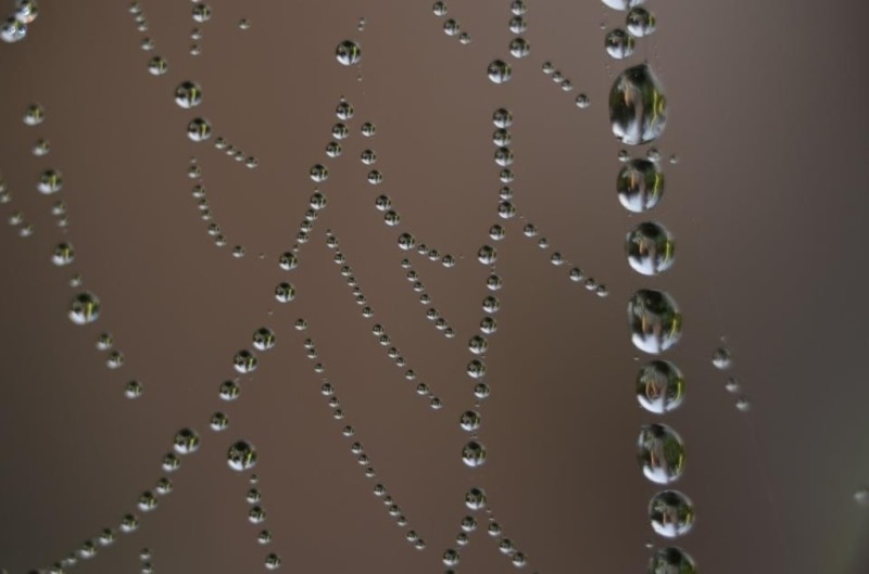 Bronze Award: Crystal Simmons, United States, Scientific phenomena