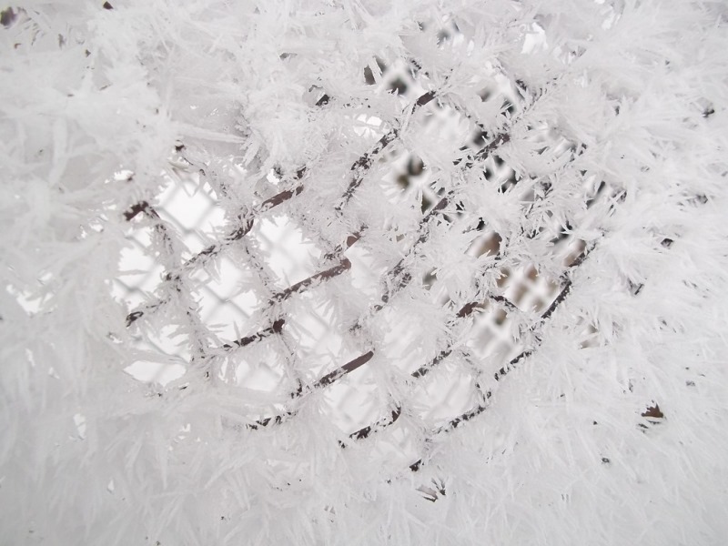 Bronze Award: Goda Orlakaite, Lithuania, Scientific phenomena