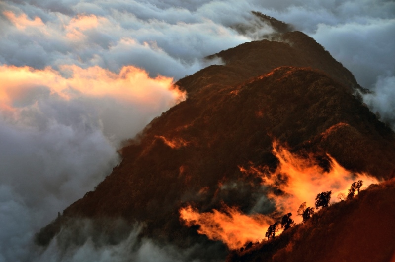 Bronze Award: Biswajit Patra, India, Scientific phenomena