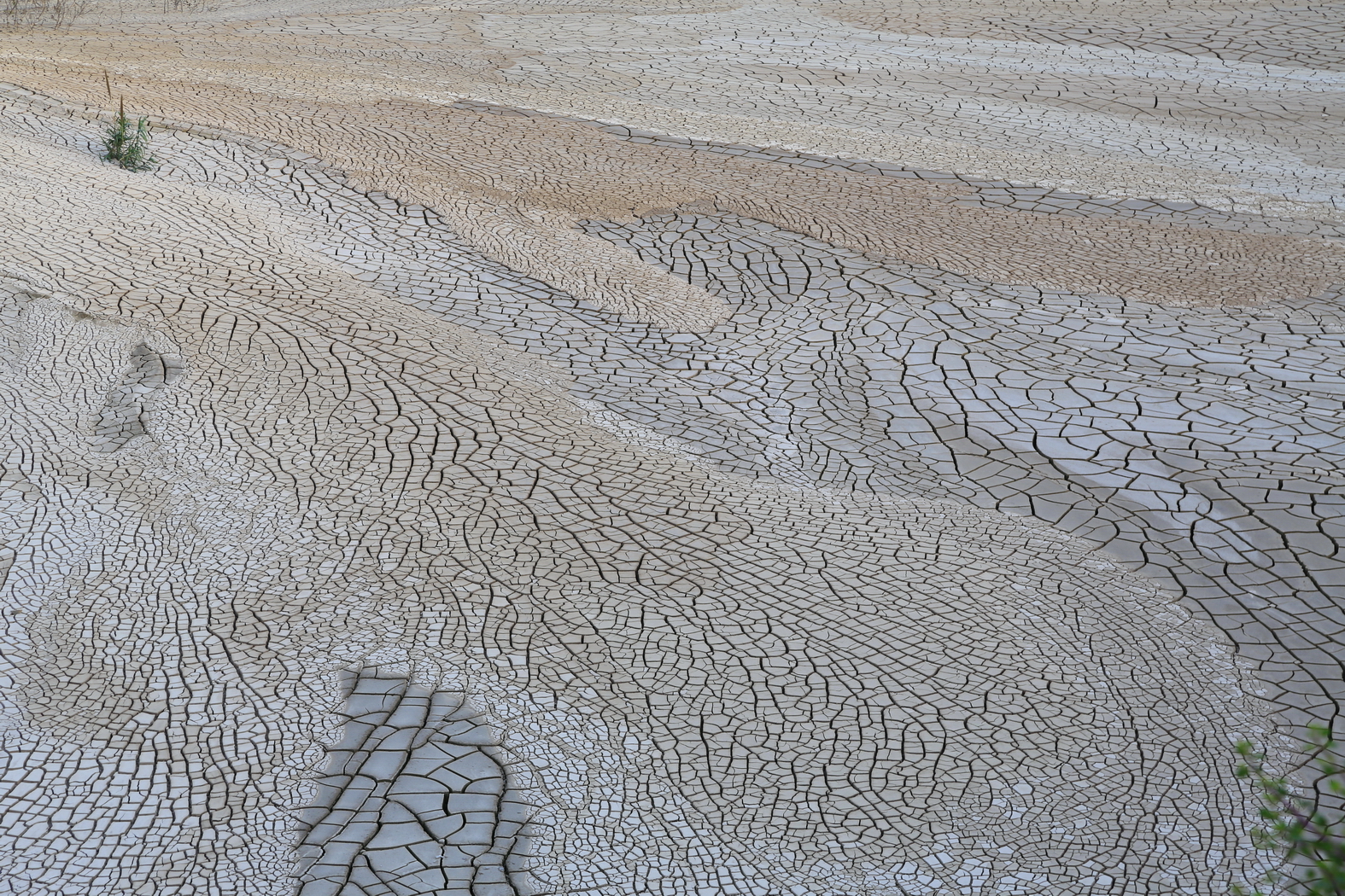 Bronze Award: Doron Talmi, Israel, Scientific phenomena