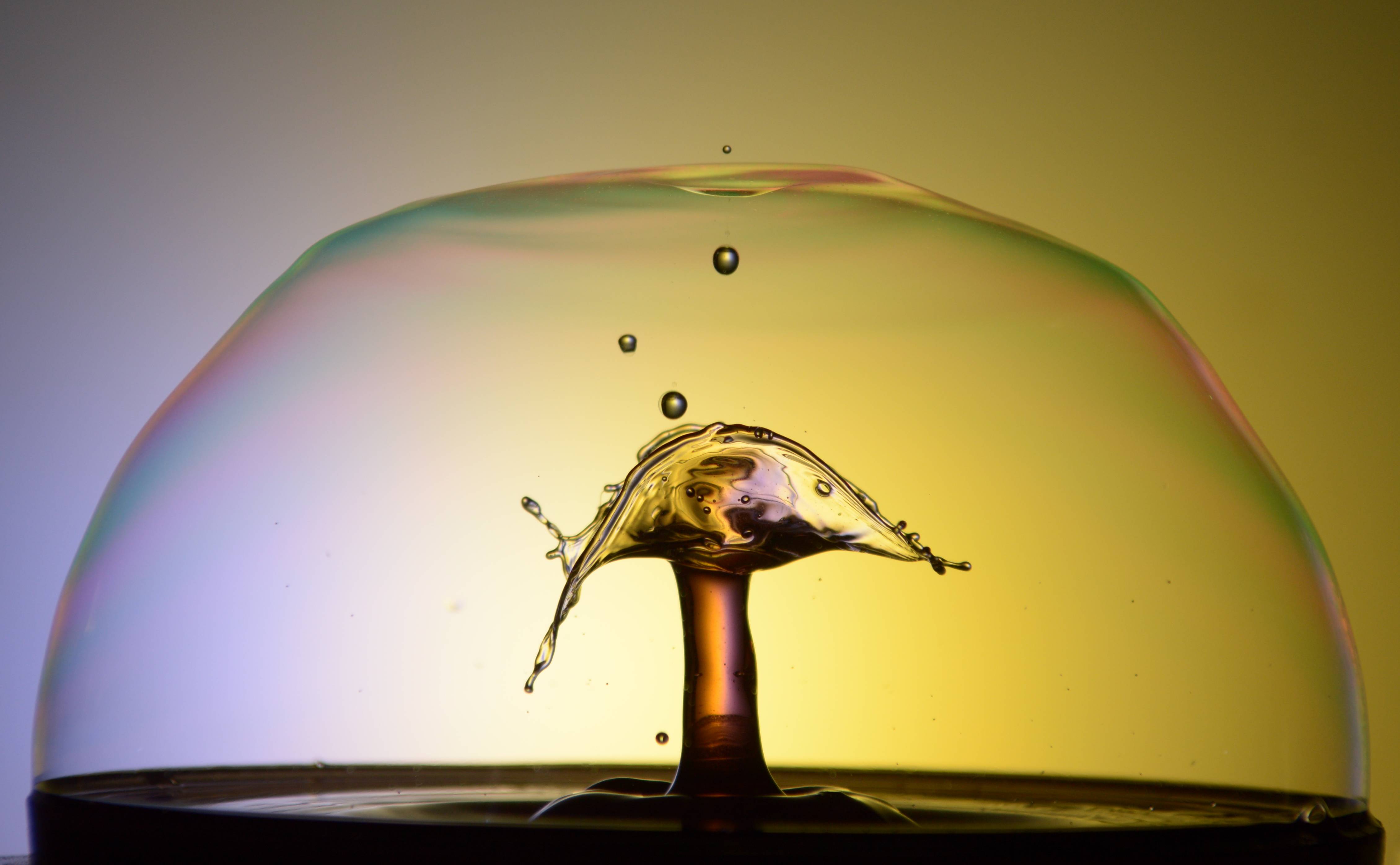 Bronze Award: Moussi Ouissem, France, Scientific phenomena