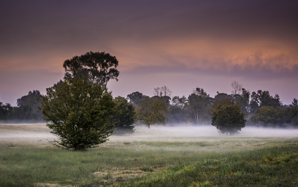 Bronze Award: Zhaark Strydom, South Africa, Scientific phenomena