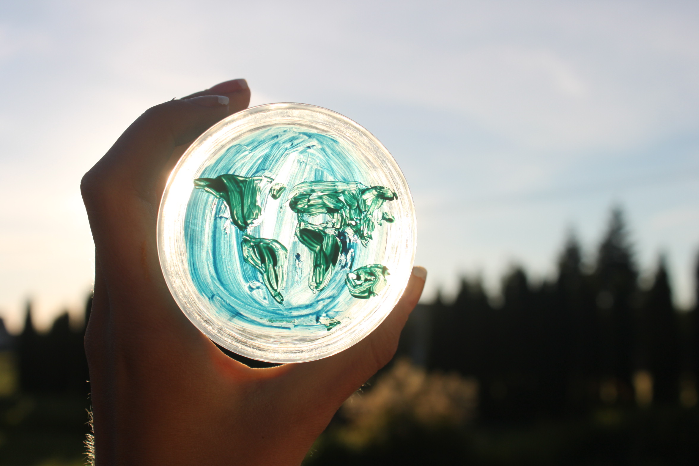 Bronze Award: Gabija Vasiliauskaitė, Lithuania, Scientific phenomena