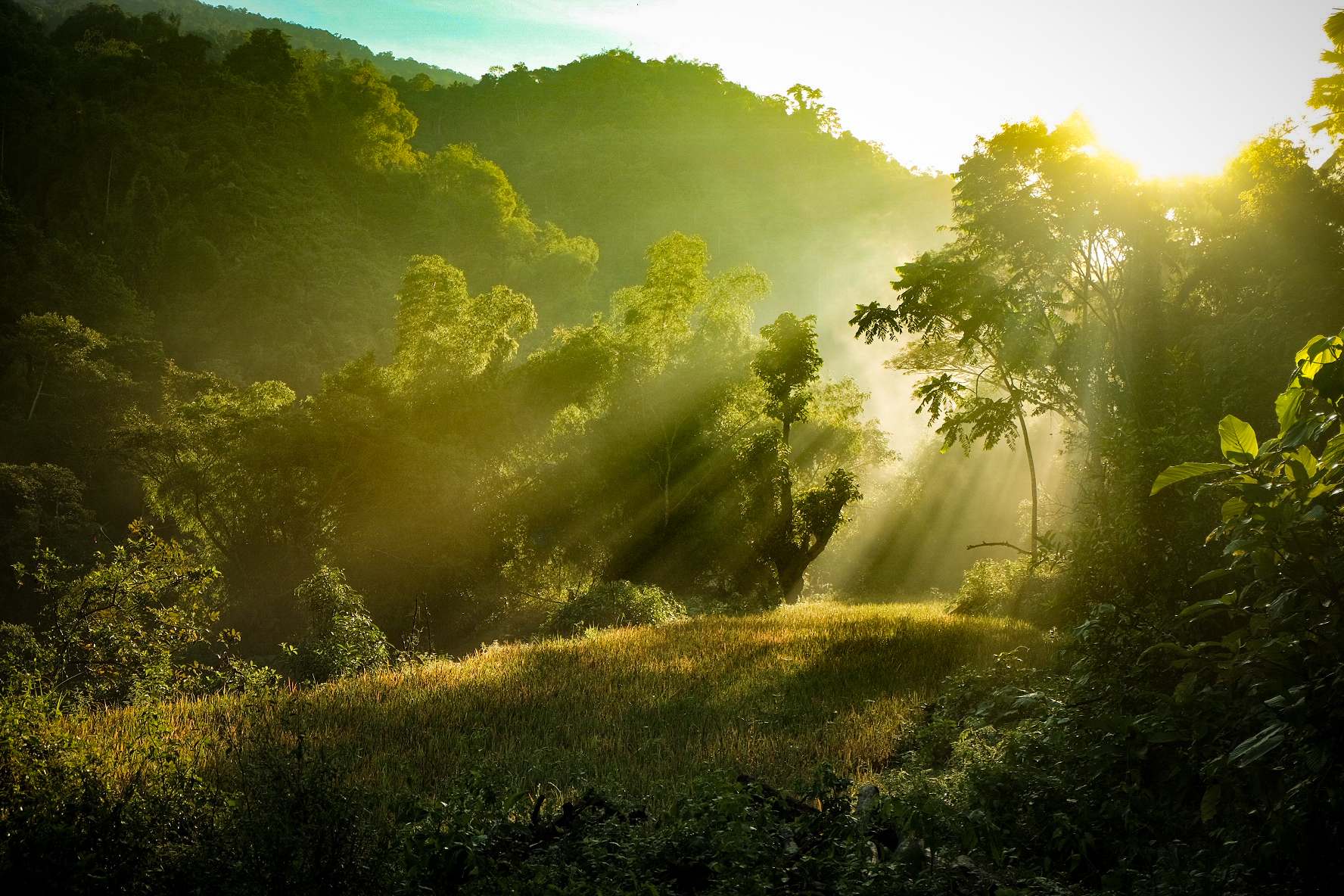 Silver Award: Billy Palatino, Philippines, Scientific phenomena